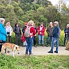 IMG 9753
