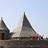 IMG 5042