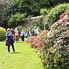 IMG 5085