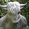 IMG 5098