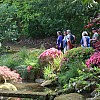 IMG 5141