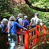 IMG 5151